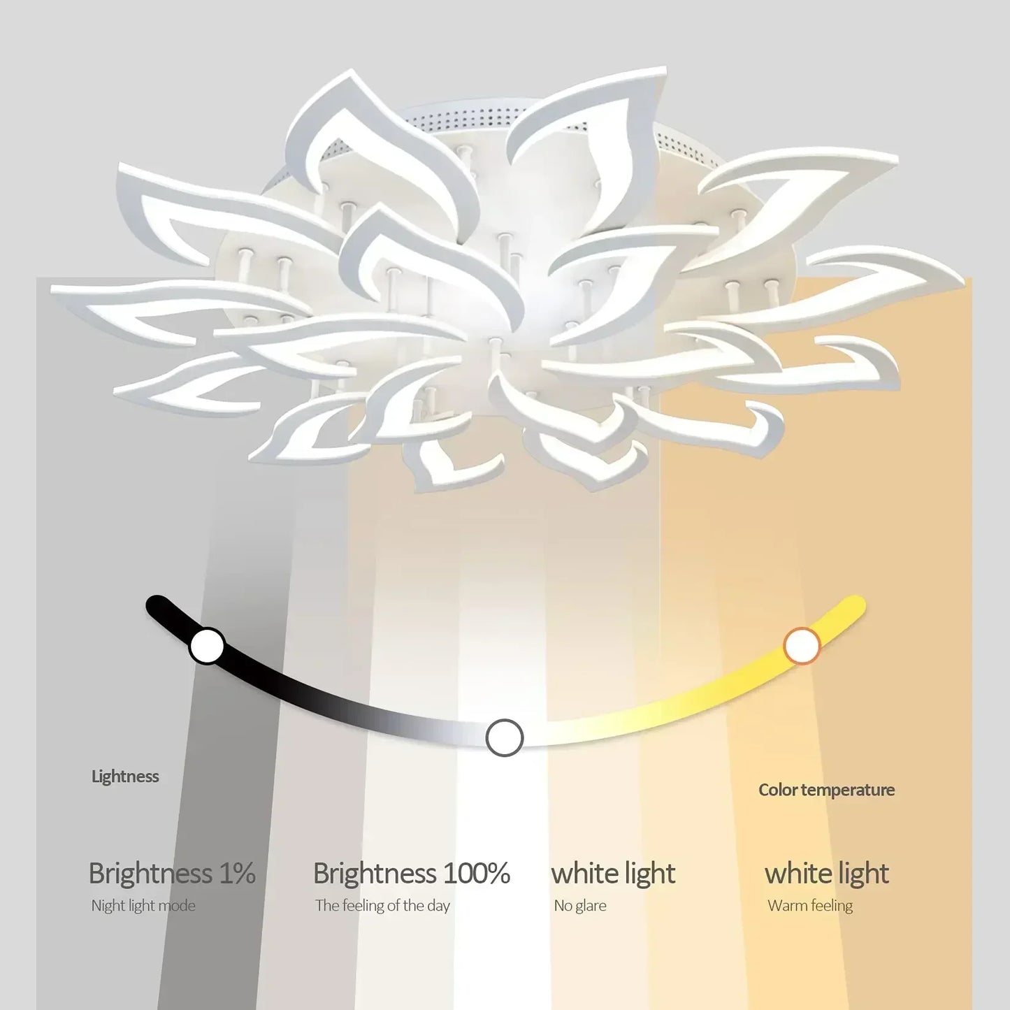 Led Ceiling Light